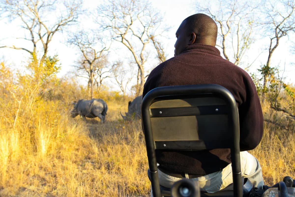 Guide seated on the front open seat of a safari vehicle during a 6-Day Sabi Sand and Kruger adventure in the Sabi Sand Game Reserve.