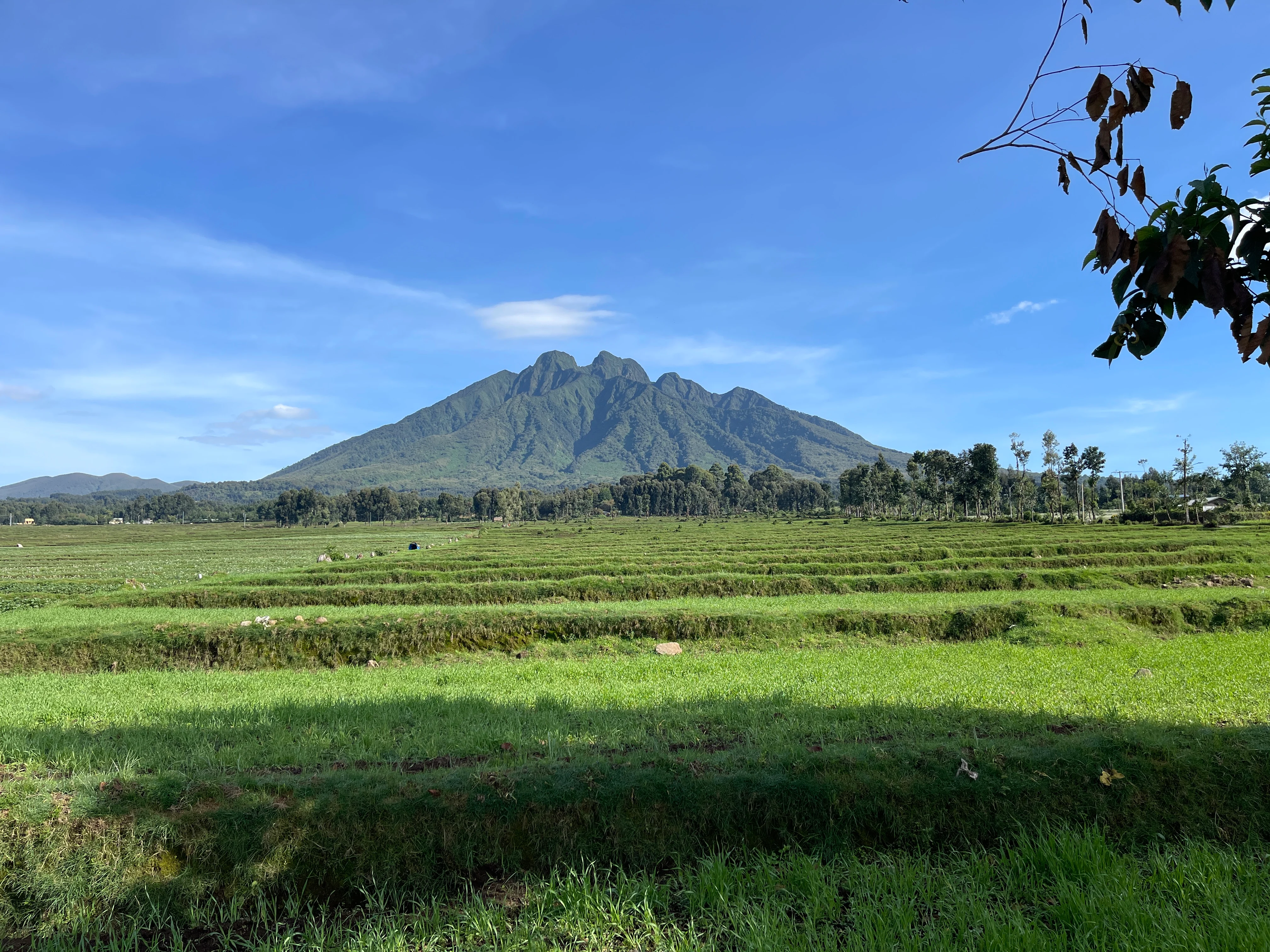 Stunning view of Mountain Sabyinyo in Volcanoes National park