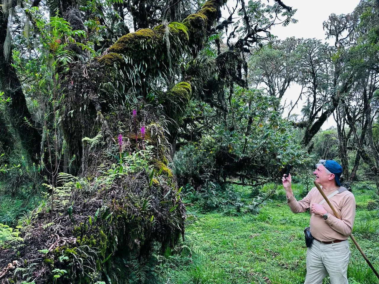 a happy old man walking into the scenic natural of Buhanga eco-park